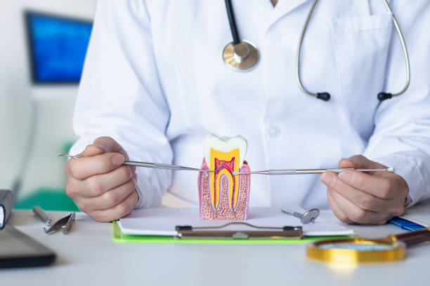 Best Weekend Emergency Dentist in Brookville, OH
